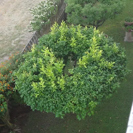 Apartamento La Pineta