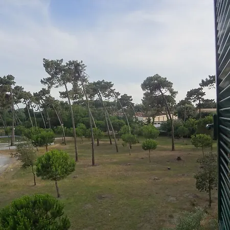 La Pineta *
