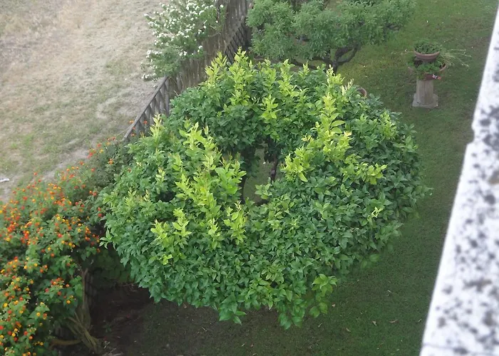 Appartement La Pineta